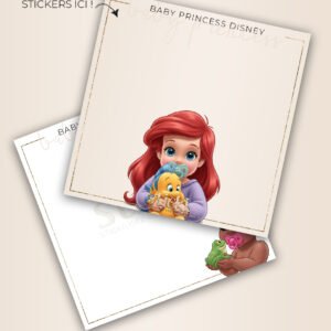 FOND DE BOITE - BABY PRINCESS DISNEY