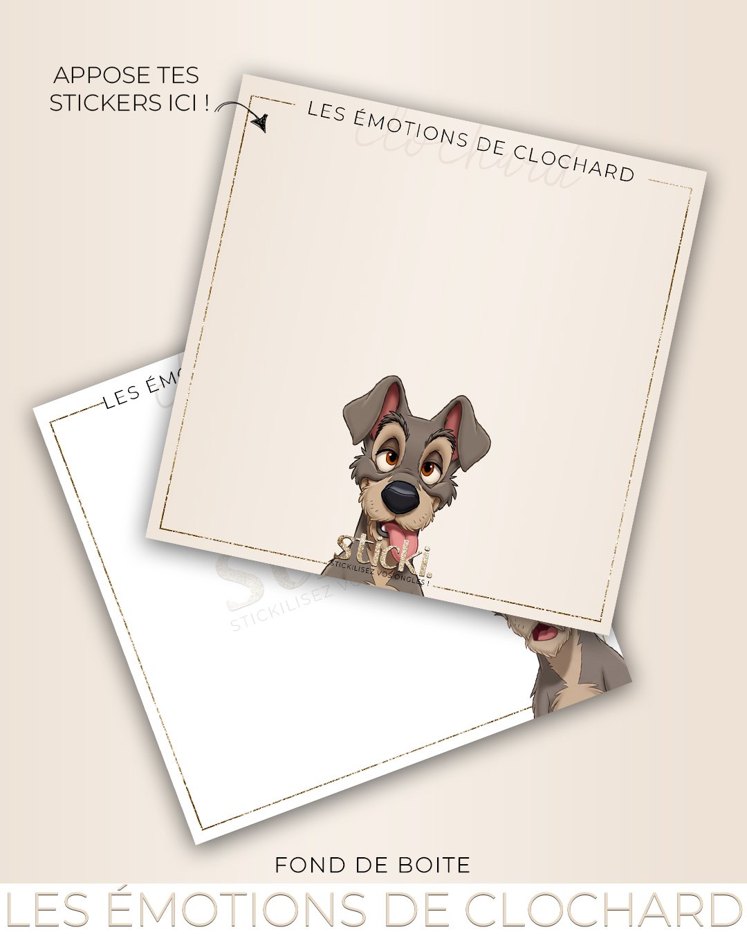 FOND DE BOITE - LES EMOTIONS DE CLOCHARD