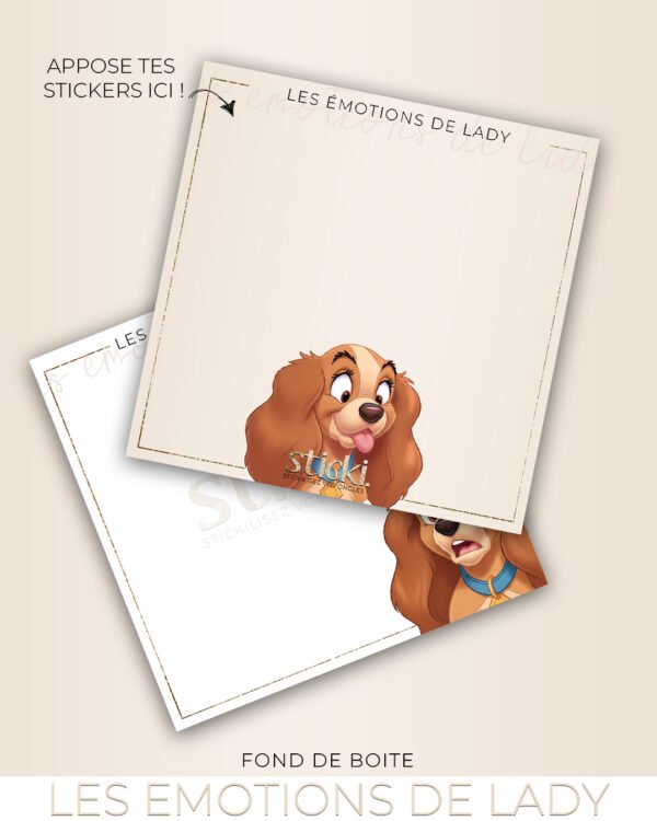 FOND DE BOITE - LES EMOTIONS DE LADY