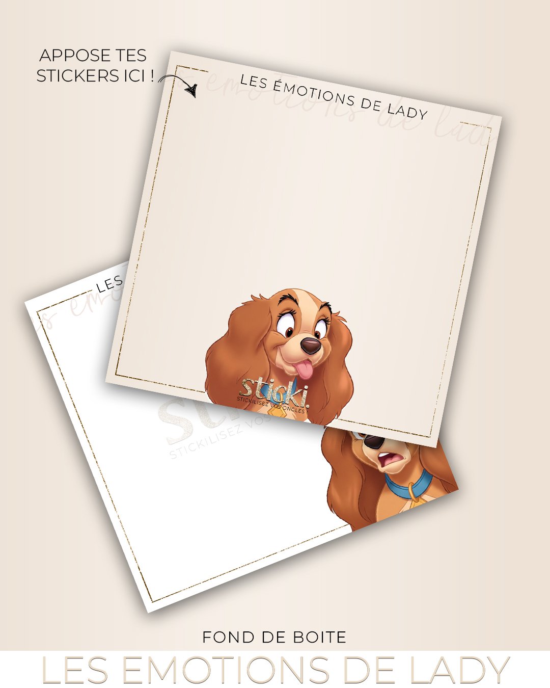 FOND DE BOITE - LES EMOTIONS DE LADY