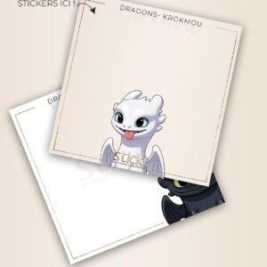 FOND DE BOITE - DRAGONS - KROKMOU