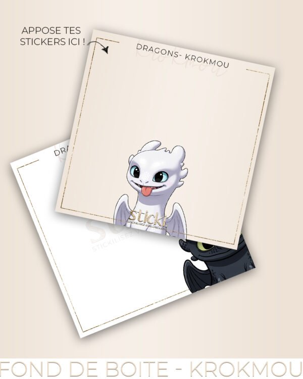 FOND DE BOITE - DRAGONS - KROKMOU