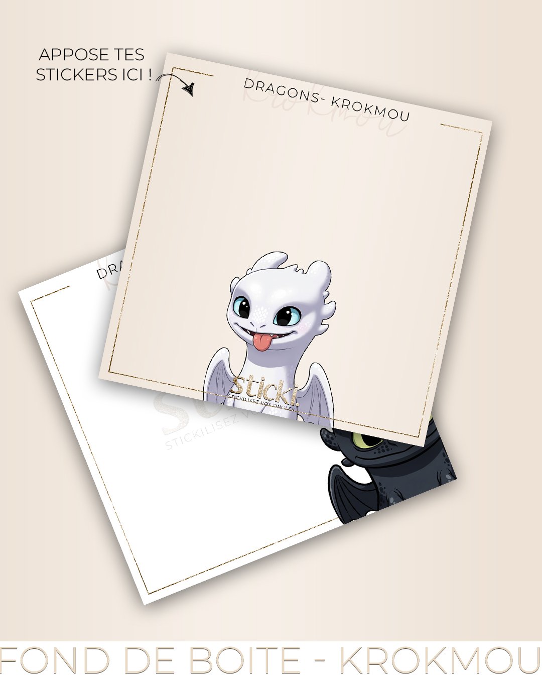 FOND DE BOITE - DRAGONS - KROKMOU