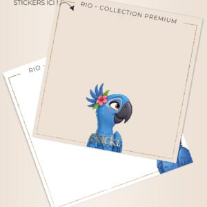 FOND DE BOITE - Rio - CO. PREMIUM