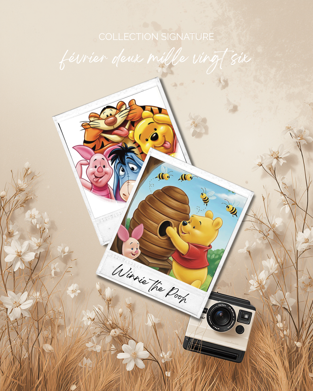 Winnie et ses Amis – La collection Signature Février 2026