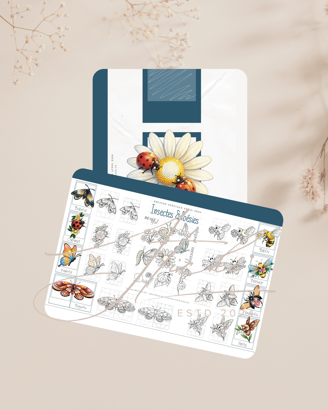 Insecte & Poésie - AVRIL 2026