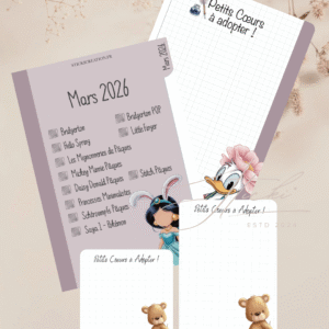 Intercalaire MARS à cocher + Fond de classeur, boîte et carnet