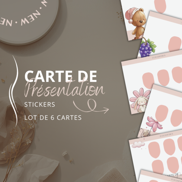STICKER CARD -Carte présentation Stickers
