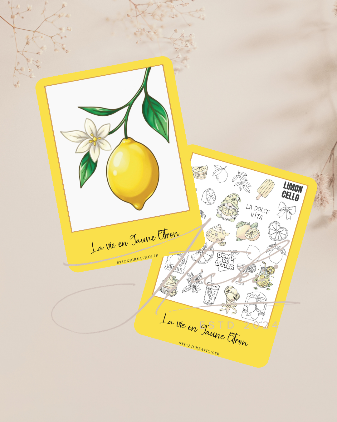 Little Lemon - MAI 2026