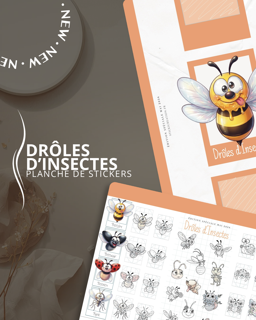 Drôles d’Insectes - MAI 2026