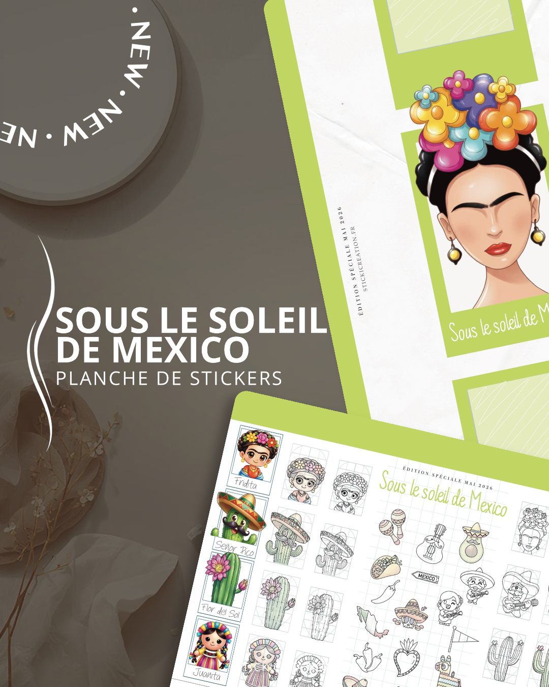 Mexique - MAI 2026