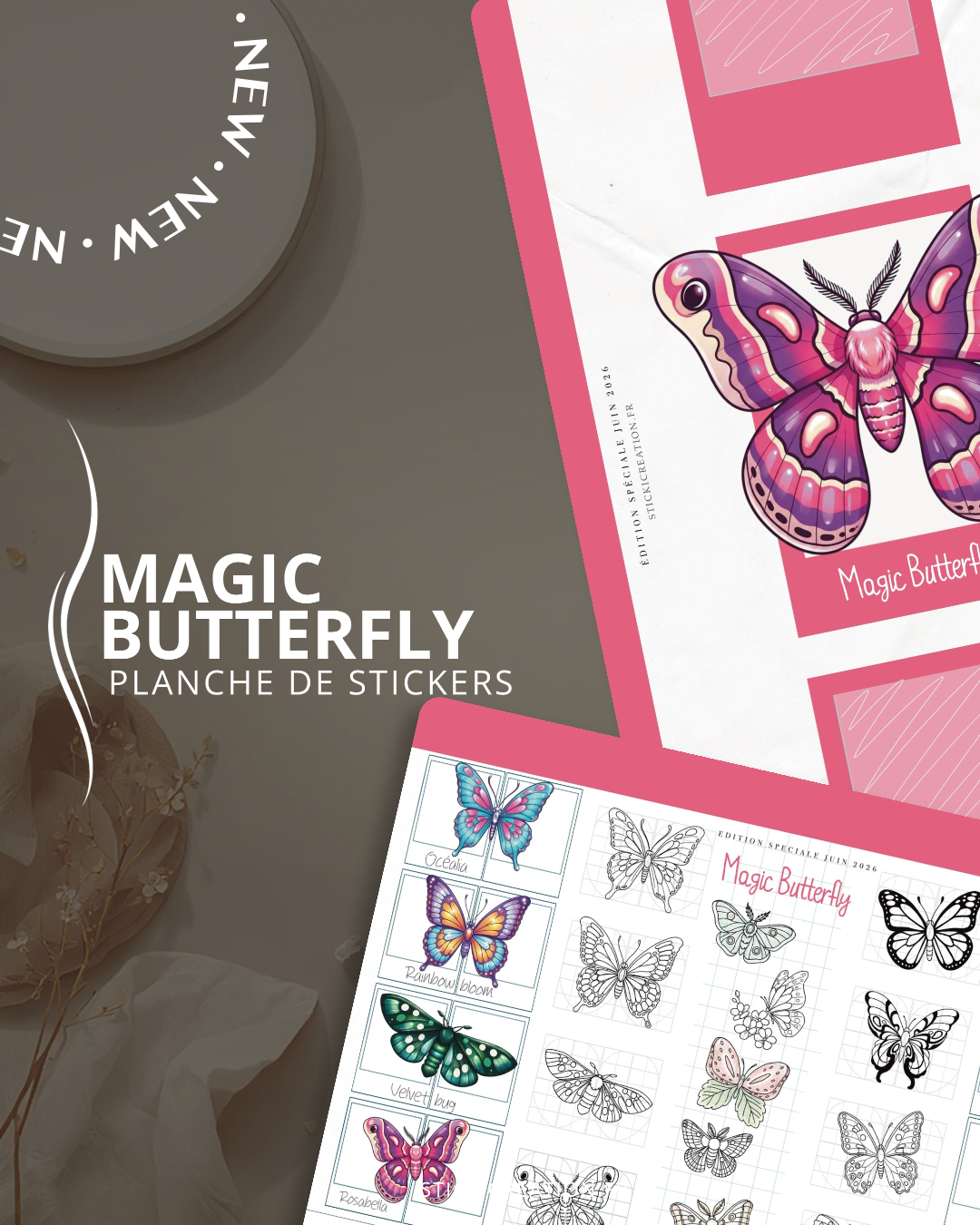 Magic Butterfly - JUIN 2026