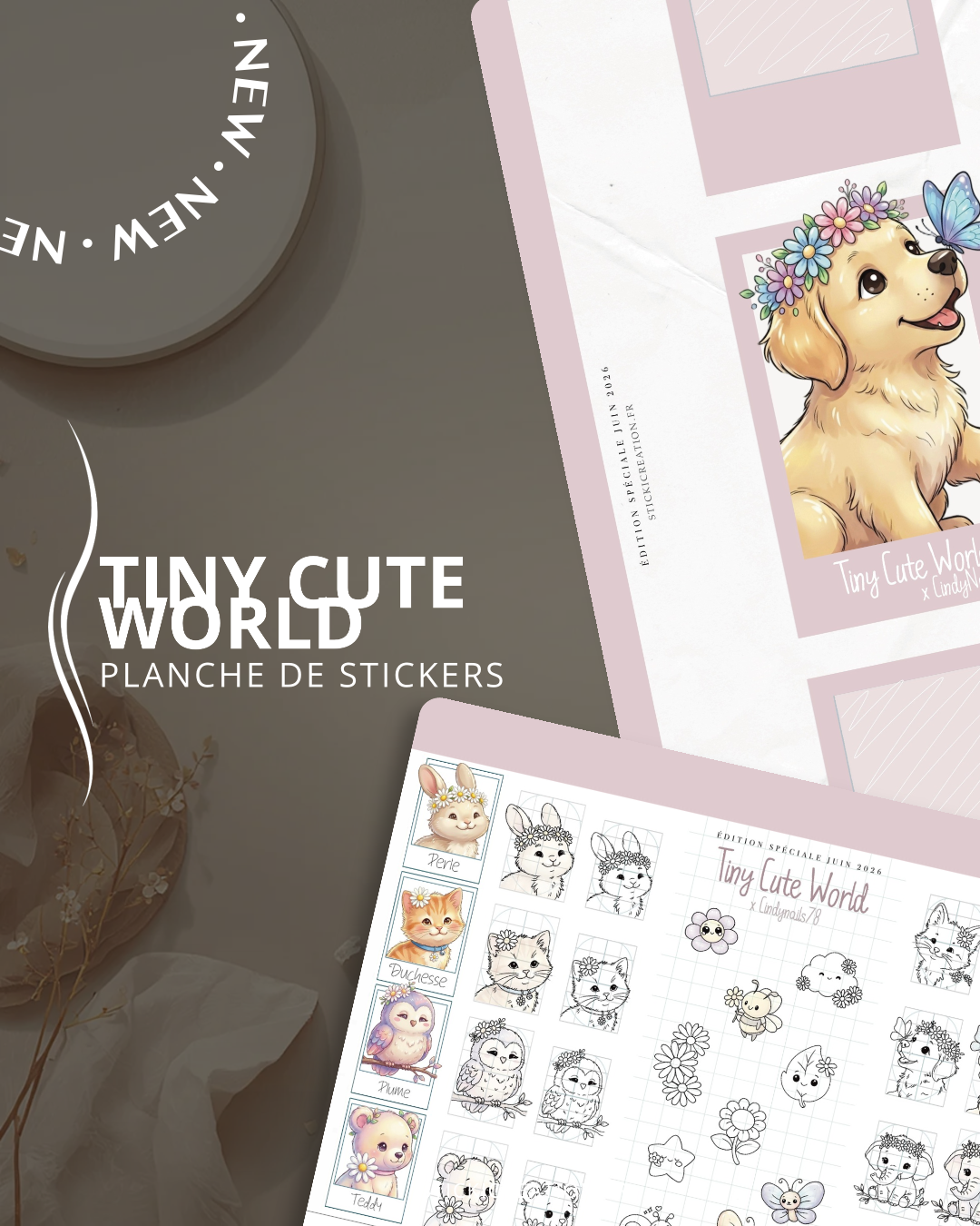 Tiny Cute World x Cindynails78 - JUIN 2026